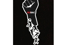 Northeastern University Black Athlete Caucus Fund